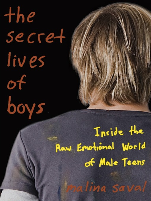 Cover image for The Secret Lives of Boys